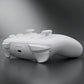 eXtremeRate DIY Replacement Full Set Shells with Buttons for Nintendo Switch 2 Pro Controller - White